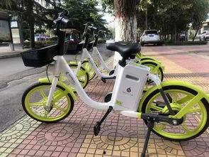 电动自行车爆料视频播放,性能、安全与市场动态一览